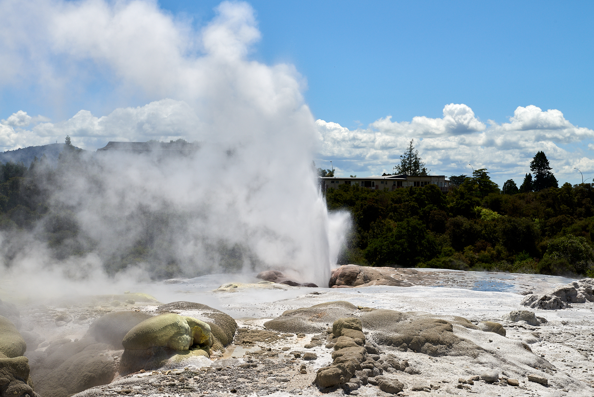 20180129 130 뉴질랜드 포후투